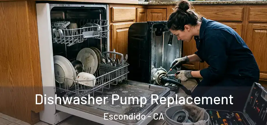  Dishwasher Pump Replacement Escondido - CA