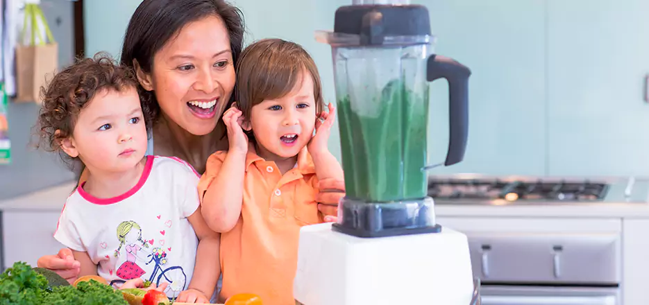 Juicer and Mixer Blender Repair in Escondido
